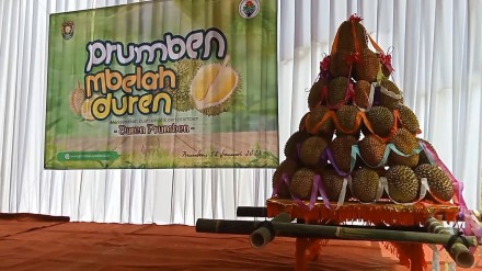 Album : Grebeg Durian